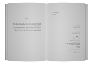 תמונה 4