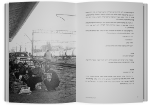 Image 7