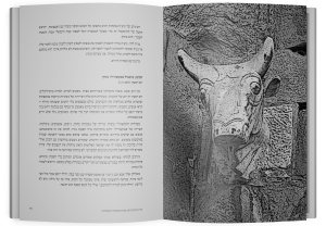 תמונה 8