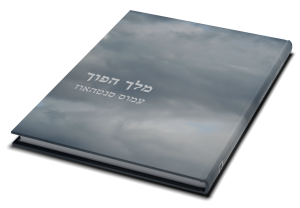תמונה 3