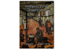 תמונה 1