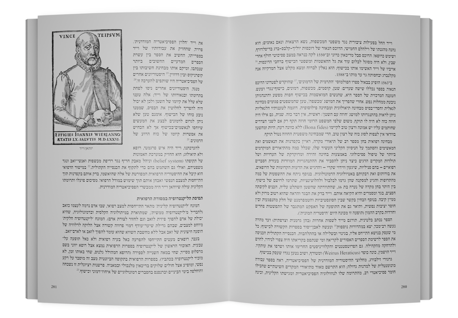 תמונה 5
