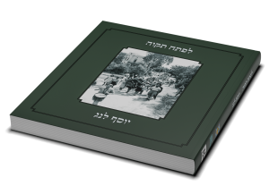 תמונה 3