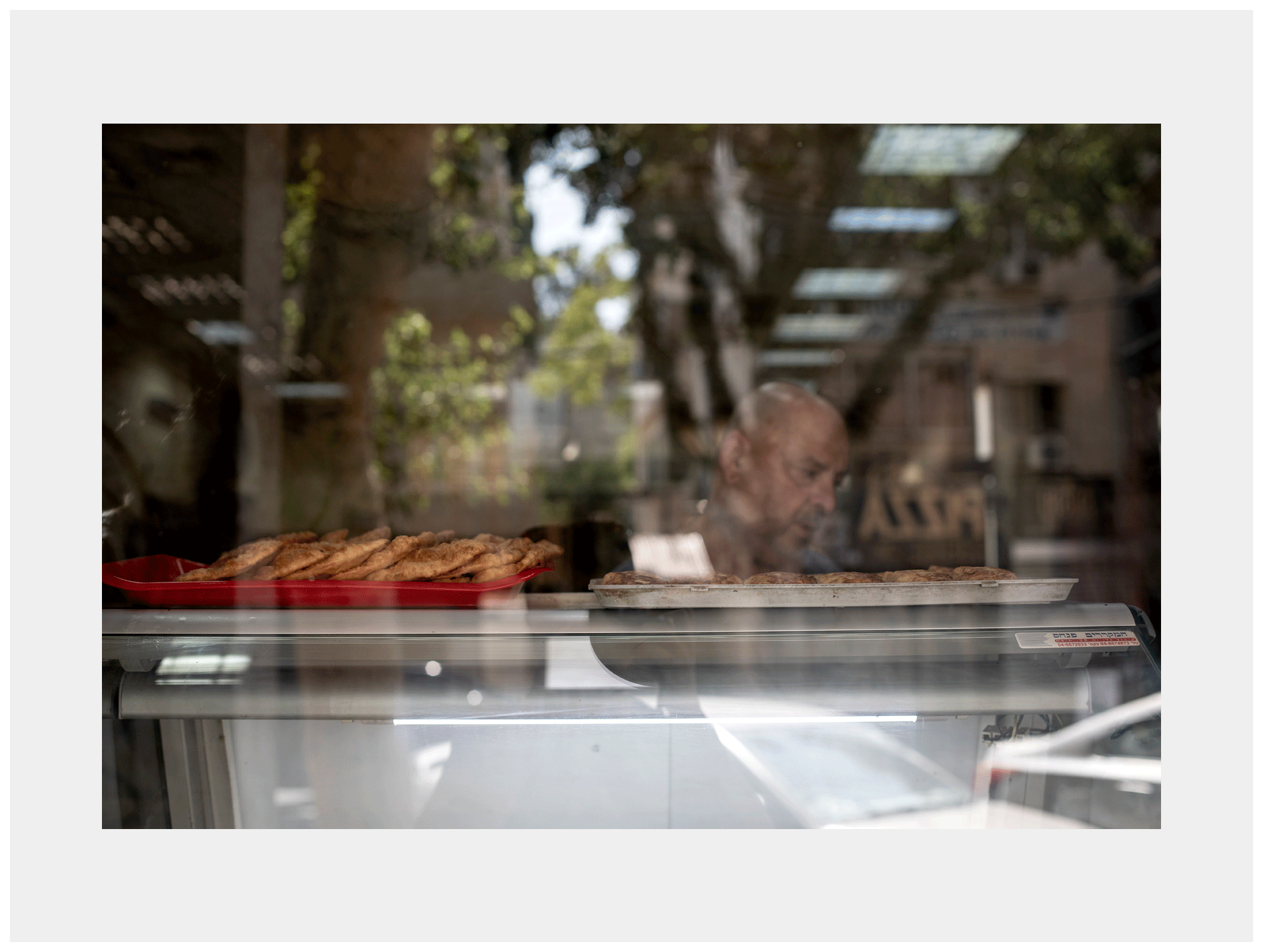 Misha by the Display Window, August 2024