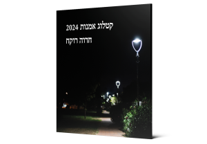 תמונה 2