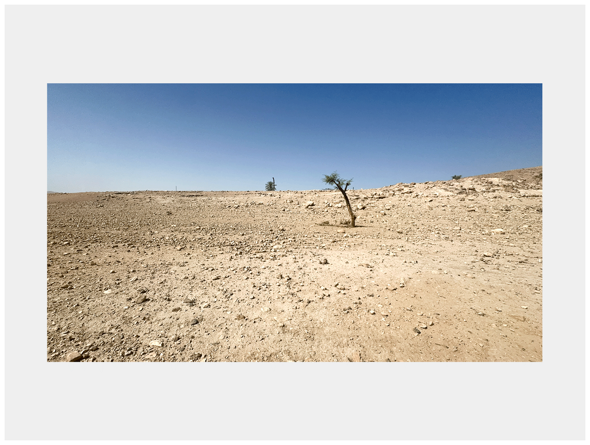 The Beauty of Ras ‘Ein al-’Auja, Ras ‘Ein al-’Auja, Jordan Valley, 2025