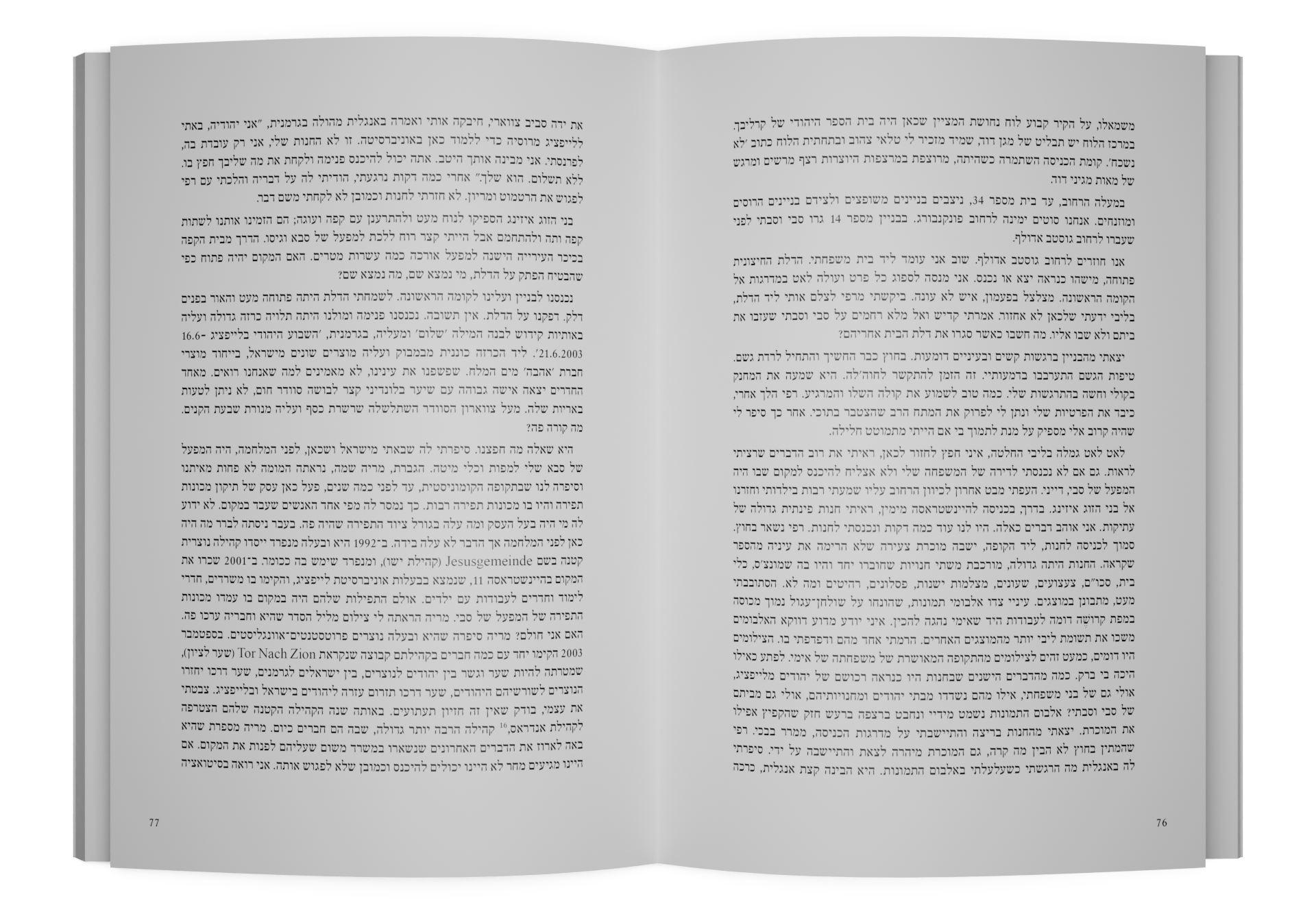 תמונה 8