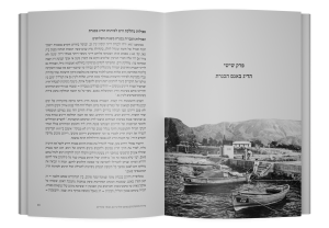 תמונה 8