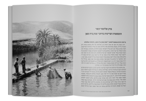 תמונה 9