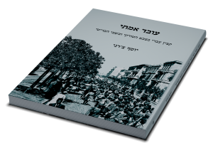 תמונה 3