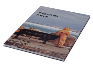 תמונה 3