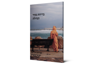 תמונה 2
