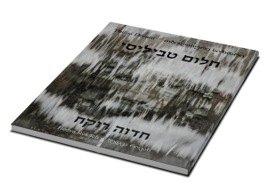 תמונה 3