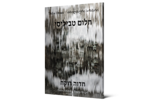 Tbilisi Dream‎ — תמונה 2 מתוך 9