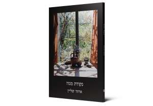 תמונה 2