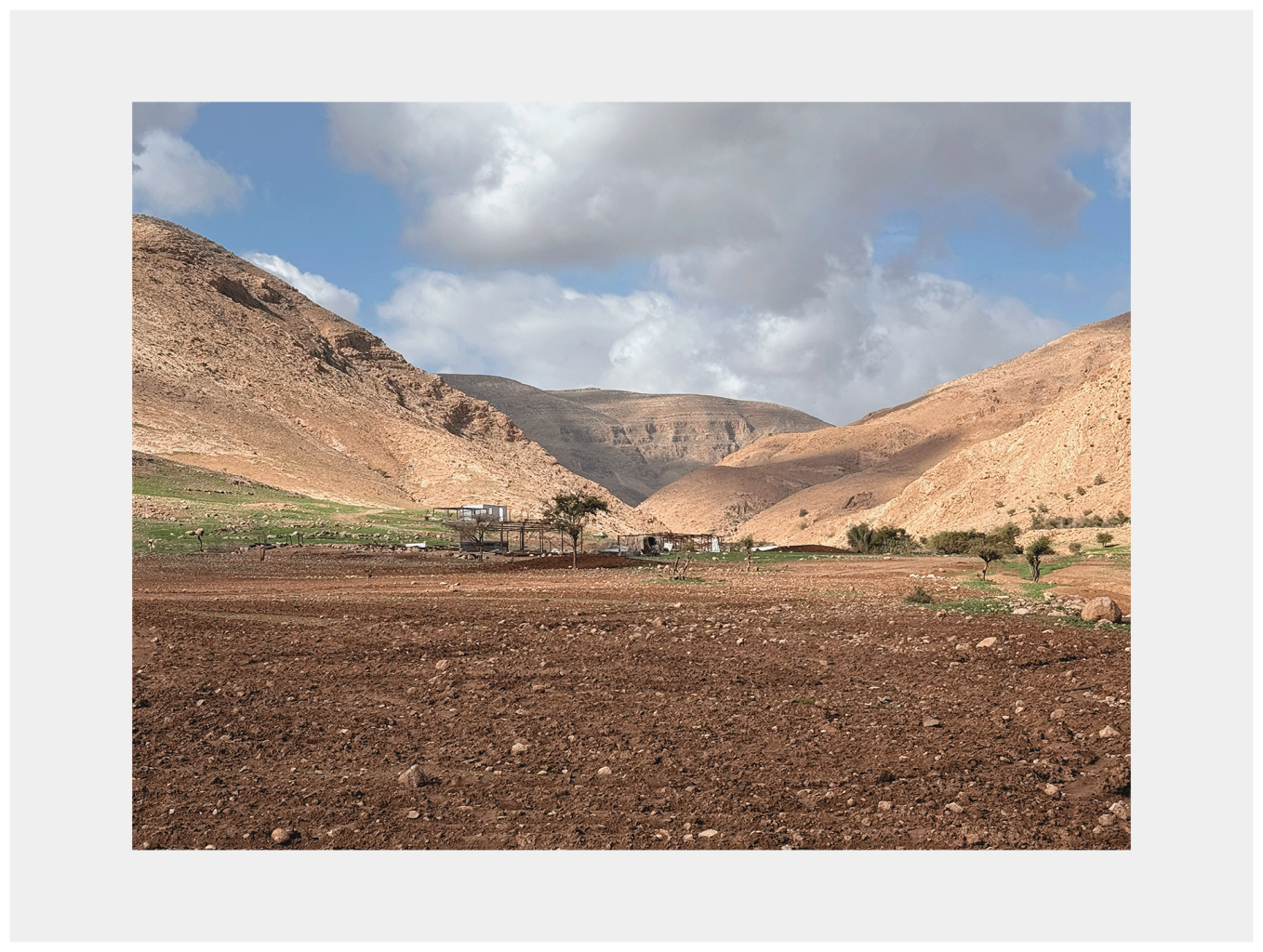פלסטינים גרו כאן פעם, ראס עין אל־עוג'ה, 2025–2026